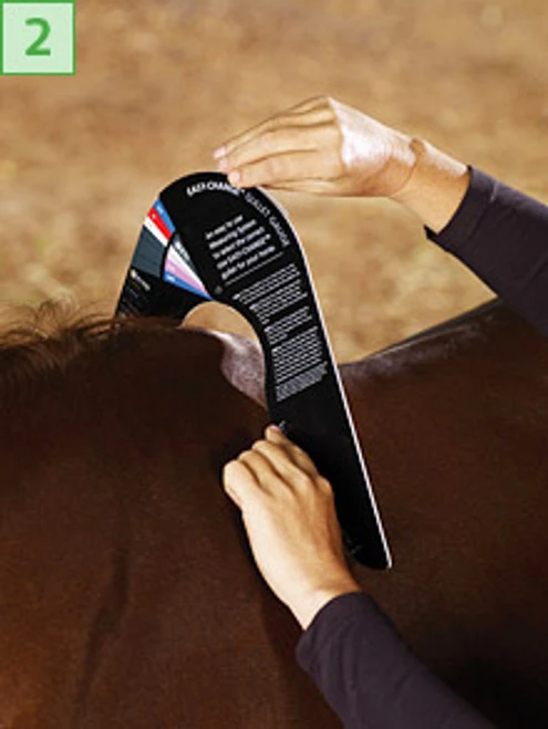 Bates/Wintec Easy Change Gullet Gauge - Image 3