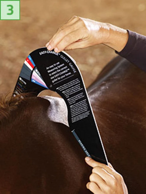 Bates/Wintec Easy Change Gullet Gauge - Image 2