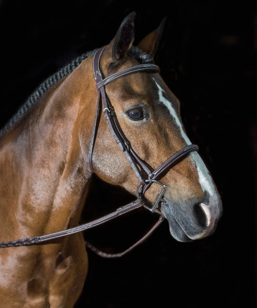 Pessoa PRO Fancy Stitched Raised Bridle - Image 2