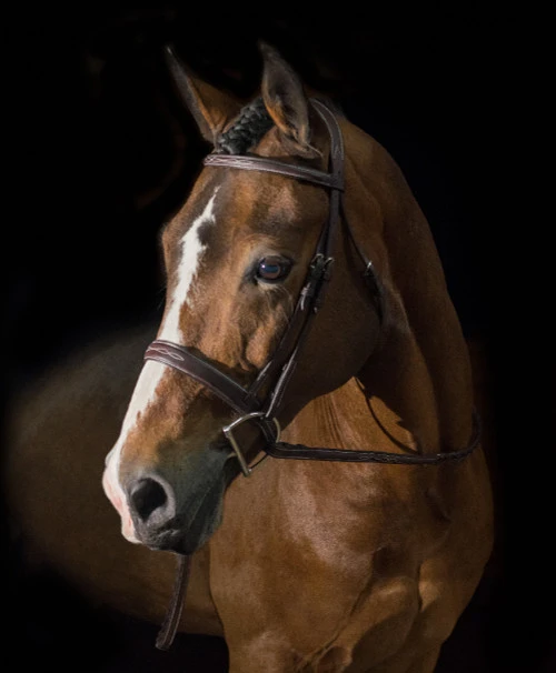 Pessoa PRO Fancy Stitched Wide Bridle - Image 2