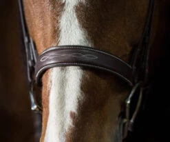 Pessoa PRO Fancy Stitched Wide Bridle