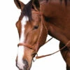 Henri De Rivel Pro Fancy Padded Bridle