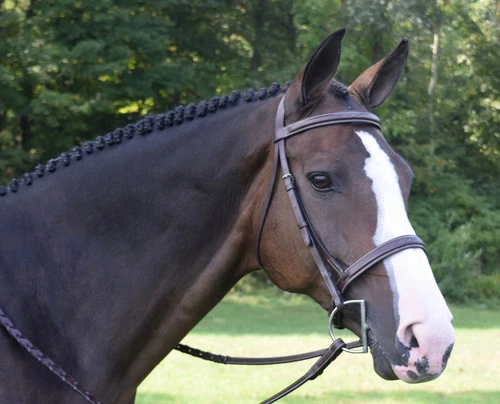 Black Oak Spruce Hunter Bridle - Image 2