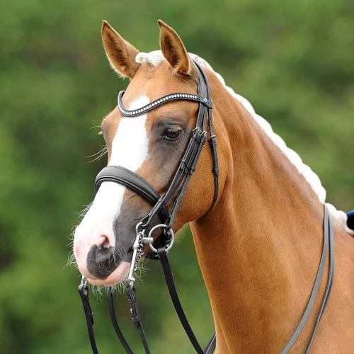 PASSIERBLU Dream Double Bridle - Image 5