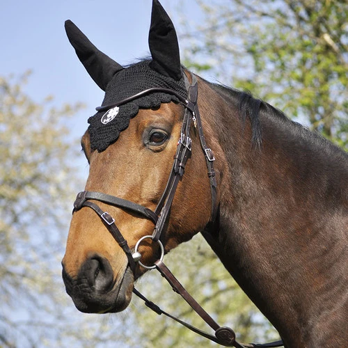 In Horse We Trust Bridle Evolution - Image 3