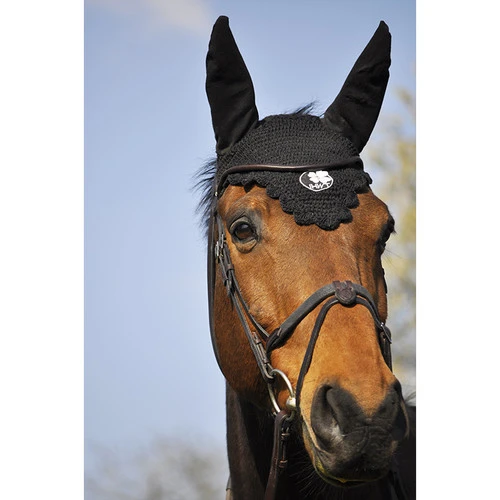In Horse We Trust Bridle Evolution - Image 5
