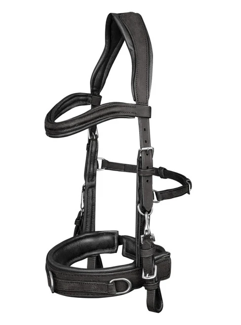Waldhausen Anatomic Lunging Cavesson