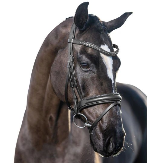 LeMieux Arika Dressage Snaffle Bridle - Image 2