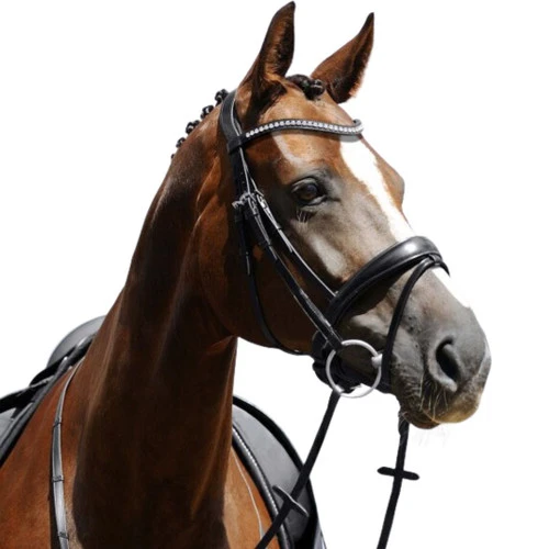 Passier Atlas Snaffle Bridle - Image 3