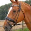 Dy'on Large Crank Noseband Snaffle Bridle