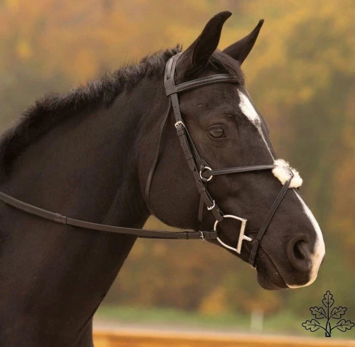 Black Oak Birch Figure 8 Bridle - Image 2