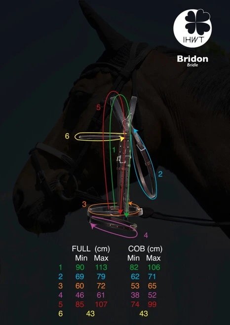 In Horse We Trust Bridle Evolution
