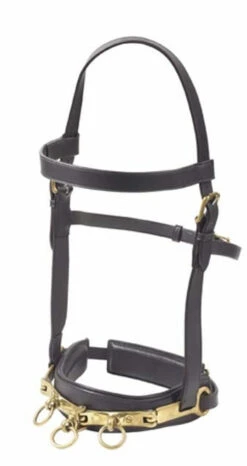 Camelot Leather Lunge Cavesson