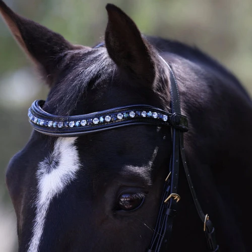 Halter Ego Charleston Double Bridle - Image 5