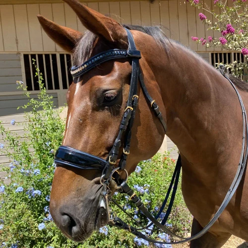Halter Ego Charleston Double Bridle - Image 3