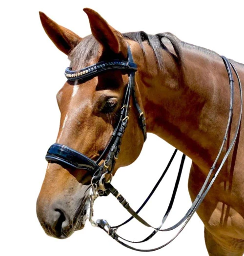 Halter Ego Charleston Double Bridle - Image 2