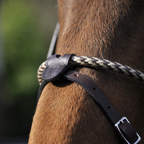 In Horse We Trust Coated Rope Noseband - Image 3
