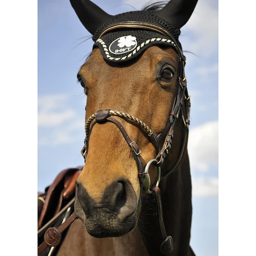 In Horse We Trust Coated Rope Noseband - Image 2