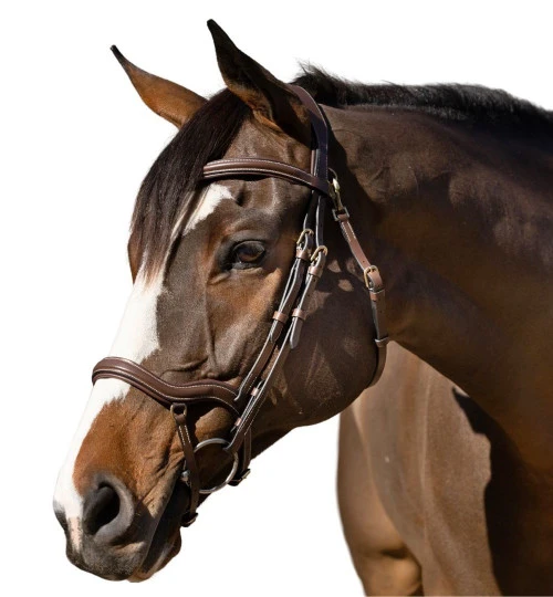 Halter Ego Deauville Anatomical Jumper Bridle - Image 4