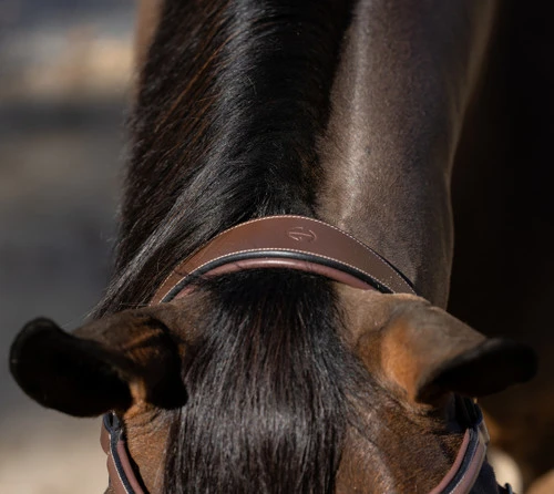 Halter Ego Deauville Anatomical Jumper Bridle - Image 5