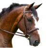 KL Italia Del Mar Hunter Bridle