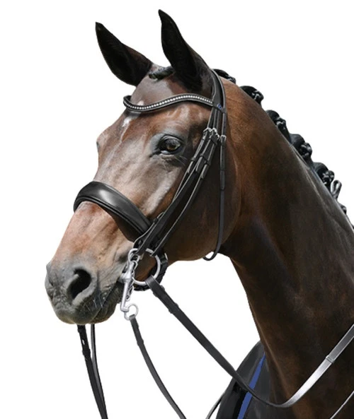 PASSIERBLU Dream Double Bridle - Image 3