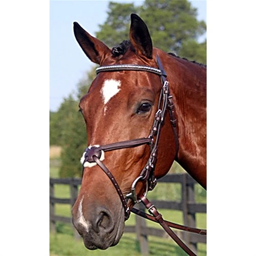 Nunn Finer Figure-8 Bridle