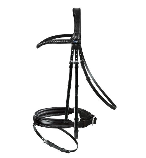 Passier Fortuna Snaffle Bridle - Image 4