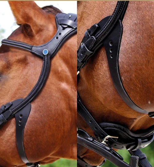 Stubben Freedom Bridle - Image 3