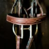 Beval Heritage Wide Fancy Stitch Bridle