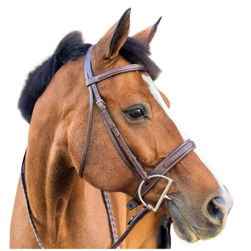 Beval Heritage Wide Fancy Stitch Bridle - Image 4