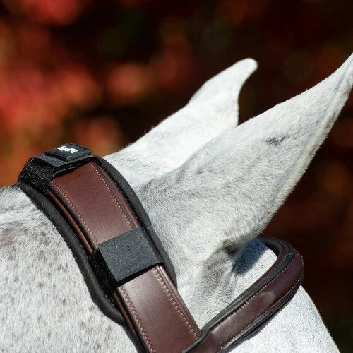 EquiFit ImpacTeq Crown Pad - Image 2