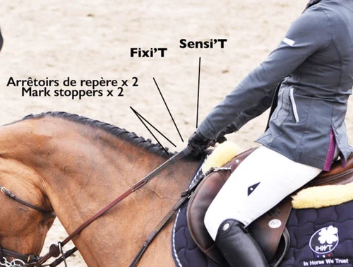 In Horse We Trust Reins Adjust - Image 2