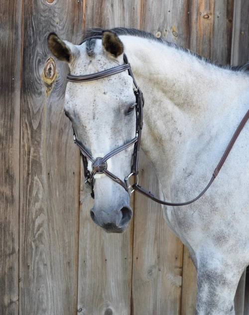Black Oak Cedar Figure 8 Bridle - Image 2