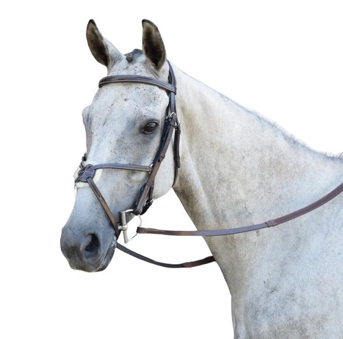 Black Oak Cedar Figure 8 Bridle