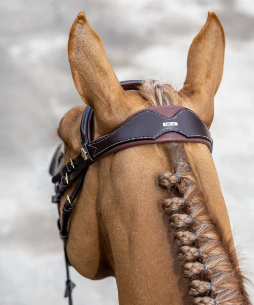 LeMieux Kudos Competition Bridle - Image 3