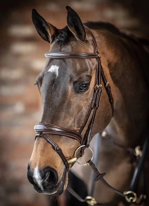 LeMieux Kudos Competition Bridle - Image 2