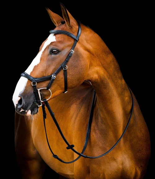 Horseware Ireland Horseware Micklem 2 Deluxe Competition Bridle - Image 4