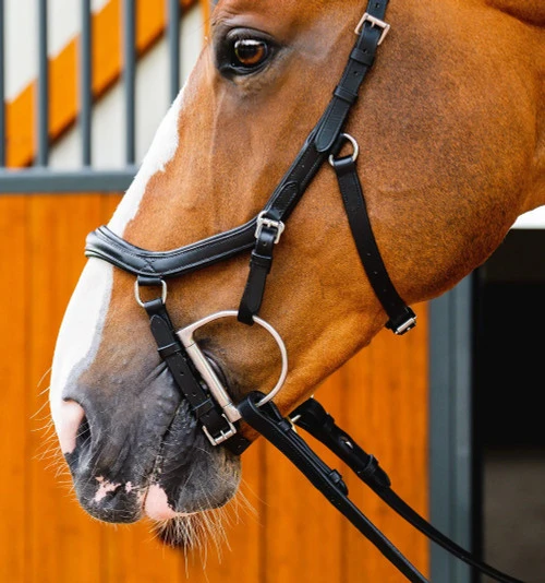 Horseware Ireland Horseware Micklem 2 Deluxe Competition Bridle - Image 5