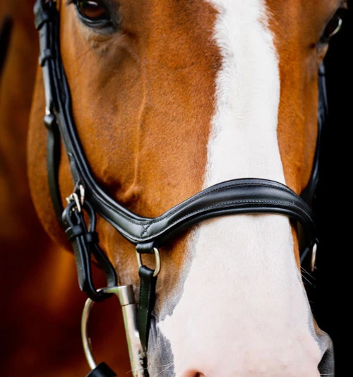 Horseware Ireland Horseware Micklem 2 Deluxe Competition Bridle - Image 3