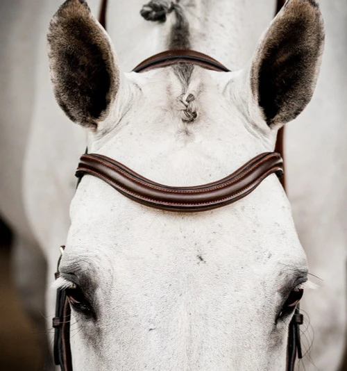 Horseware Ireland Horseware Micklem 2 Deluxe Competition Bridle - Image 7