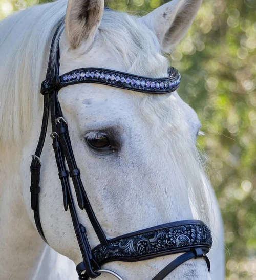 Halter Ego Munich Navy Floral Snaffle Bridle - Image 3