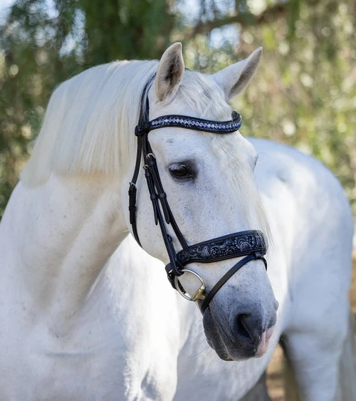 Halter Ego Munich Navy Floral Snaffle Bridle - Image 2