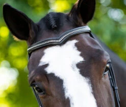 KL Select Pirouette Crystal Browband