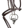 Signature By Antarès Training Bridle