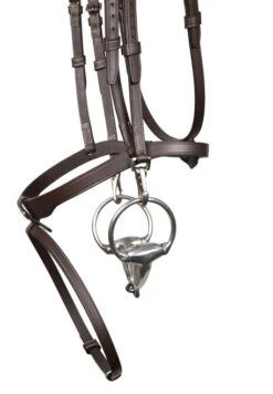 Signature By Antarès Training Bridle