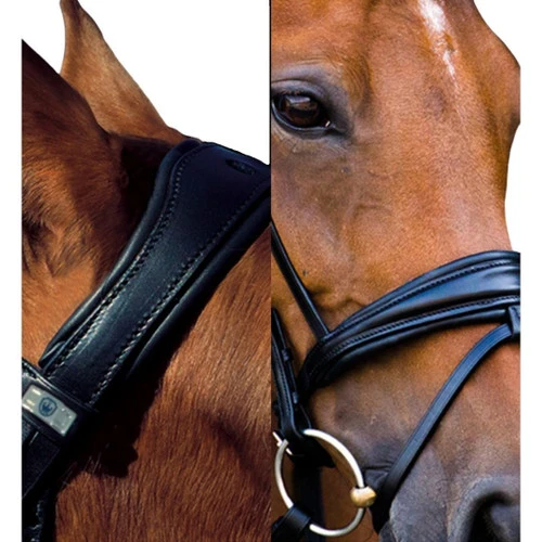 Stubben Switch Snaffle+Weymouth Bridle - Image 2