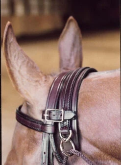 Tory Leather Chambon