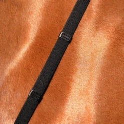 Passier Web Reins With Stops